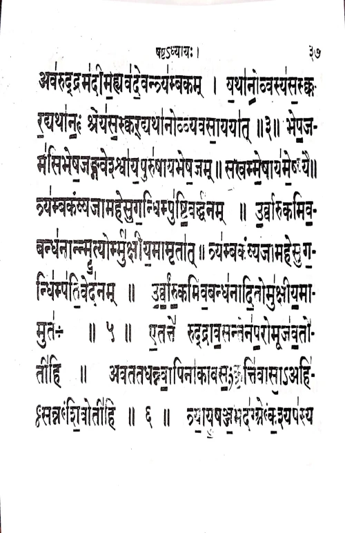 Shuklayajurvediyarudrashtadhyayi ( VVG 14)