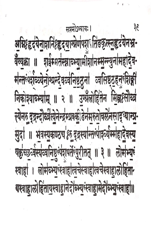 Shuklayajurvediyarudrashtadhyayi ( VVG 14)