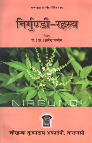 Nirgundi Rahasya