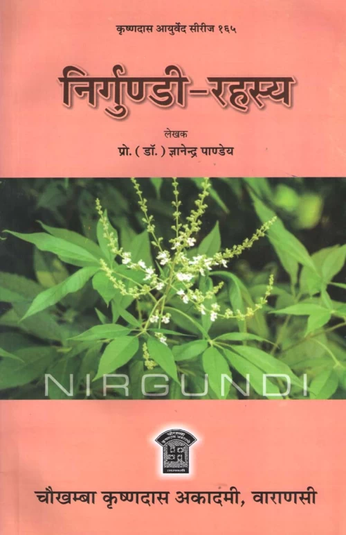 Nirgundi Rahasya