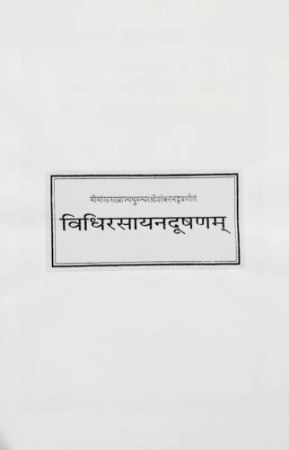 Vidhirasayandushanam